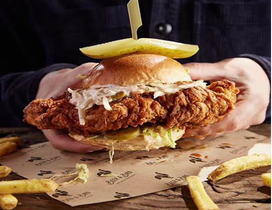 Parchment Paper Gallery 2